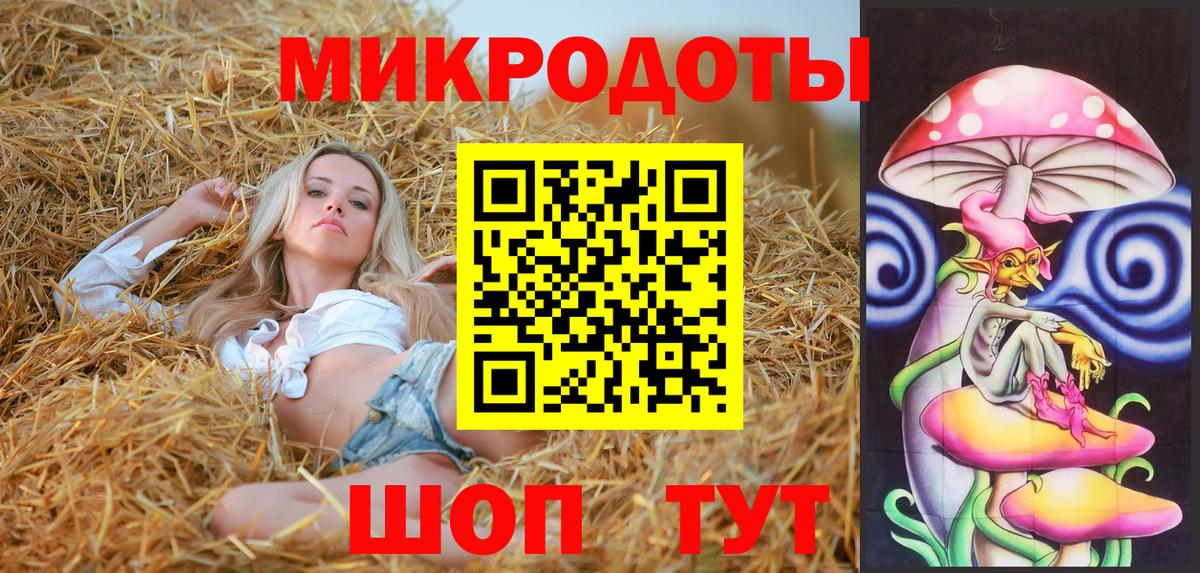 Галлюциногенные грибы Psilocybe Дербент