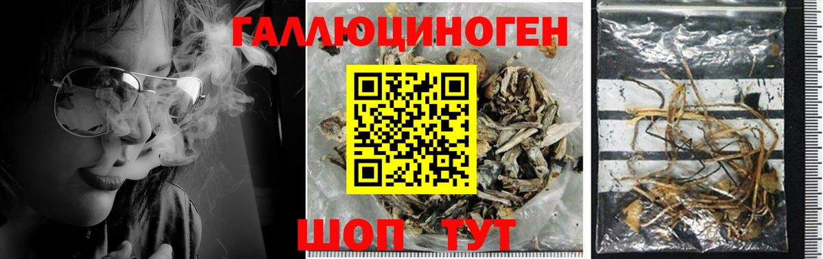 Дербент  где продают наркотики  Галлюциногенные грибы мухоморы  Вход с VPN  Псилоцибиновые грибы мухоморы 